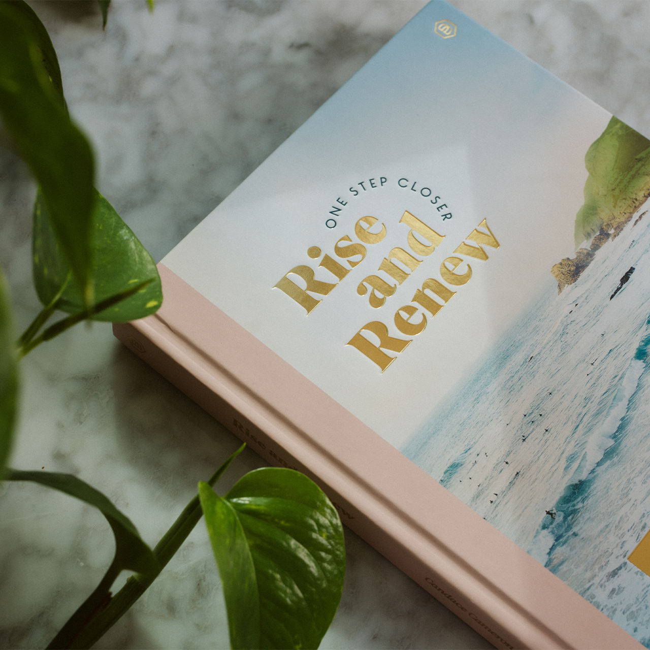 Book titled 'Rise and Renew' on a marble surface with a plant leaf in the foreground
