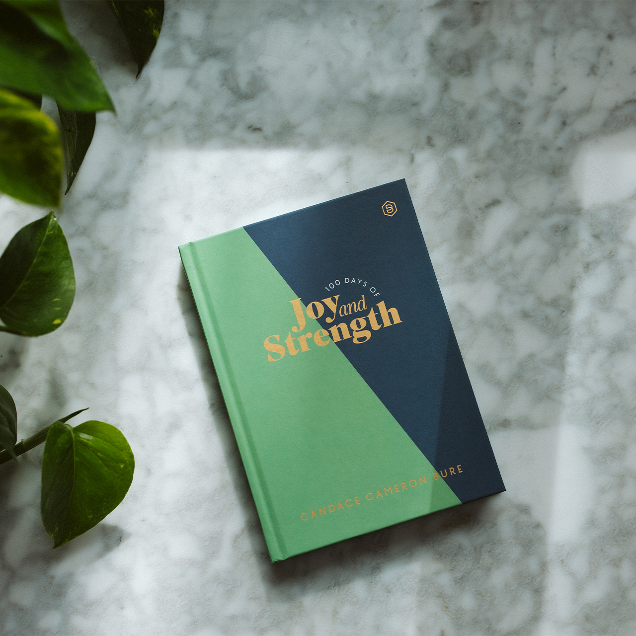 Book titled 'Joy and Strength' on a marble surface with green leaves.