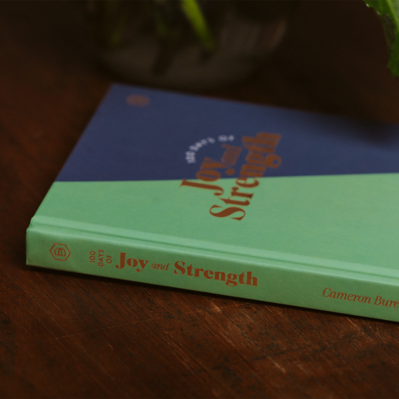 Book titled 'Joy and Strength' by Cameron Bure on a wooden surface