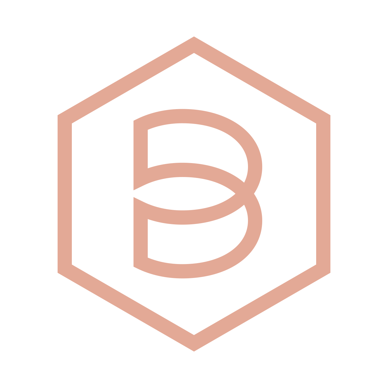 Logo with a stylized letter 'B' inside a hexagon on a white background